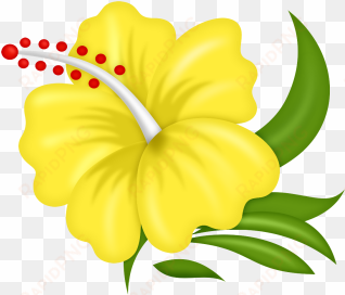 0 aa65b 2cfd3082 orig - flores hawaianas animadas png