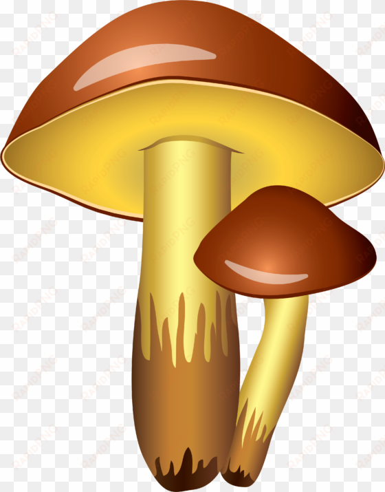 0, - mushroom clipart transparent background