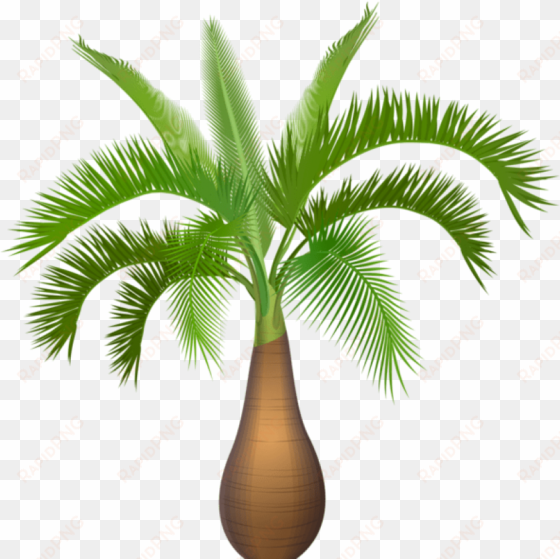 0, - palm trees