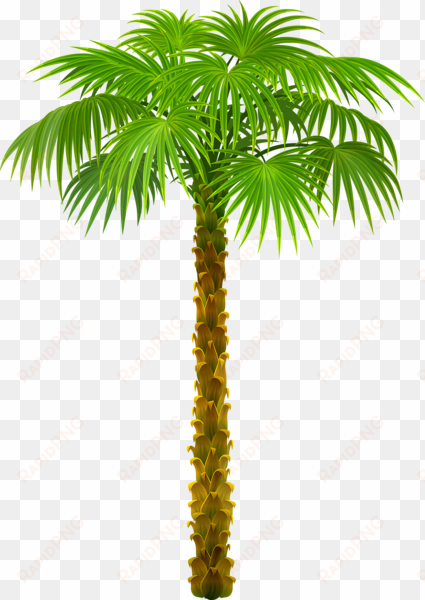 0, - trees on beach png