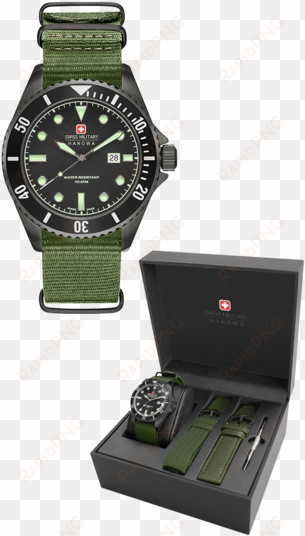 06 8279 13 007set - swiss military sea lion green