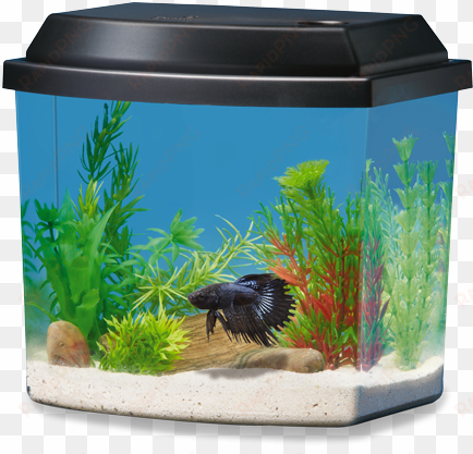 1 gallon - national geographic 1 gallon fish tank
