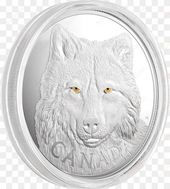 1 kilogramm silbermünze - 2017 fine silver 250 dollar kilo coin -