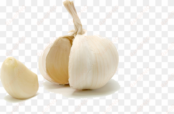 1 small garlic clove