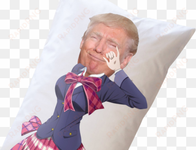 1% the only pillow that you will ever need - donald trump body pillows