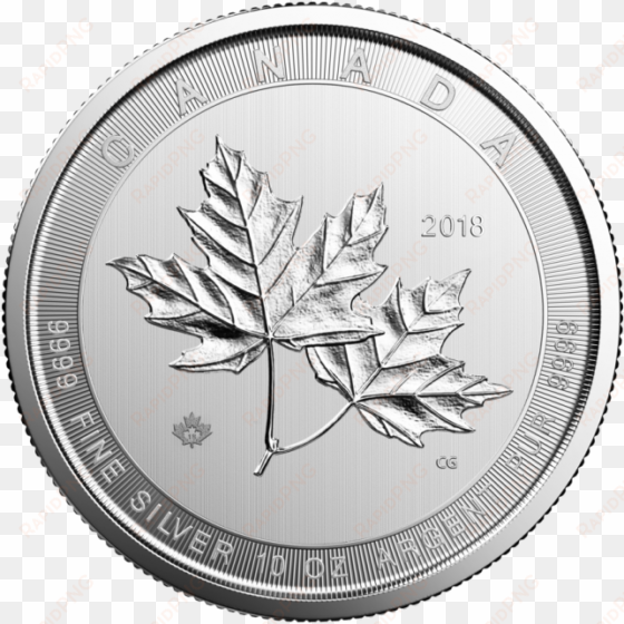 10 Oz Silver Magnificent Maple Leaf Coin Rcm - 10 Oz Silver Maple Leaf transparent png image
