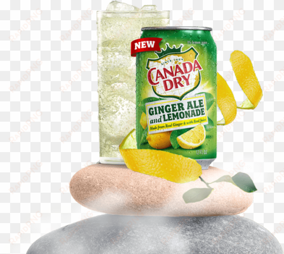 *100% natural flavors, including from real ginger, - ginger ale with lemonade canada dry