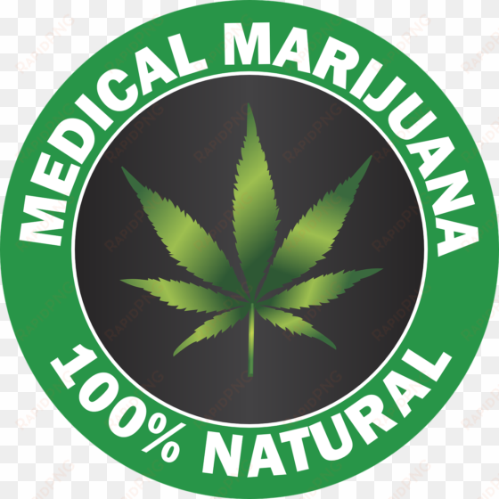 1032371 1280 - set 4 for medical use only marijuana leaf 3" sew on