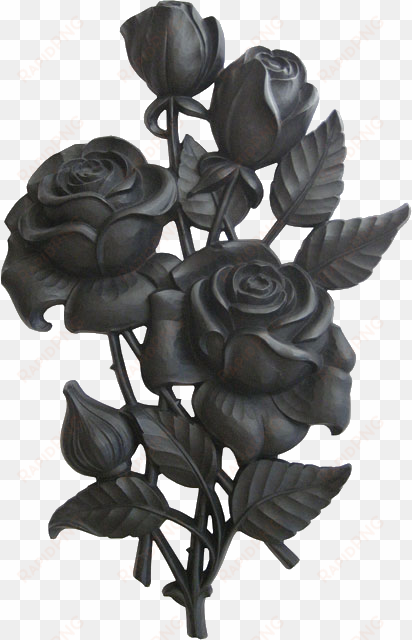 11 10 08 black rose - black rose