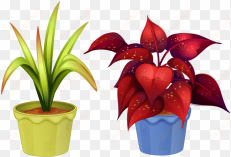12 ~ garden clip art - flowering plant and non flowering plant