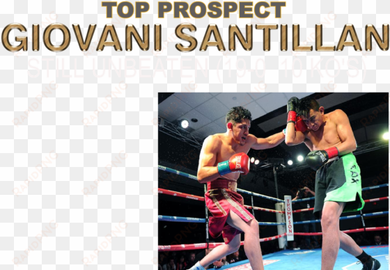 14 ranked bantamweight by the wbc, delivered another - professional boxing