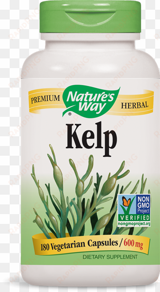 14508 - kelp - kelp capsules