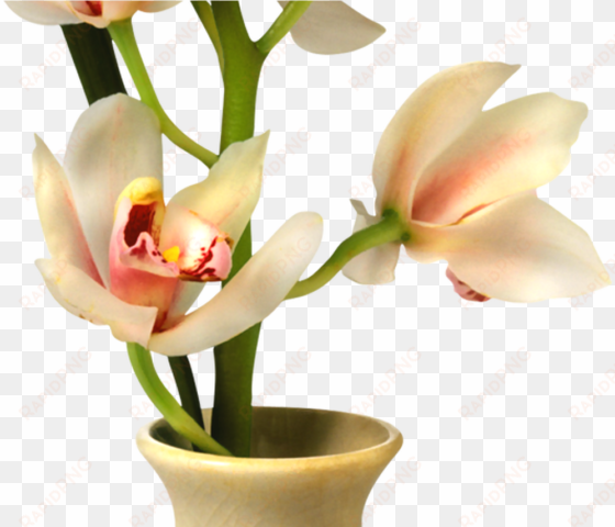 19 flowers in vase png library download huge freebie - florero png