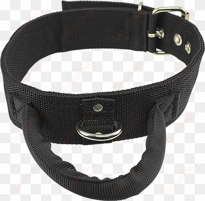 2" Poly Web Collar With Handle - Dog Collar With Handle transparent png image