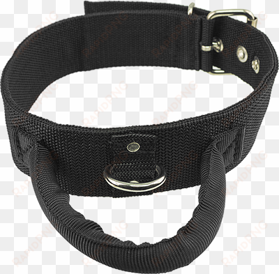 2" poly web collar with handle - dog collar with handle