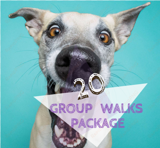 20 group walks pawkee package - mês do cachorro louco