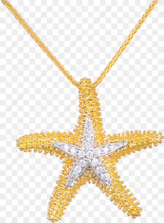 2015 04 25 14 01 06 dw upss22d - star fish pendant