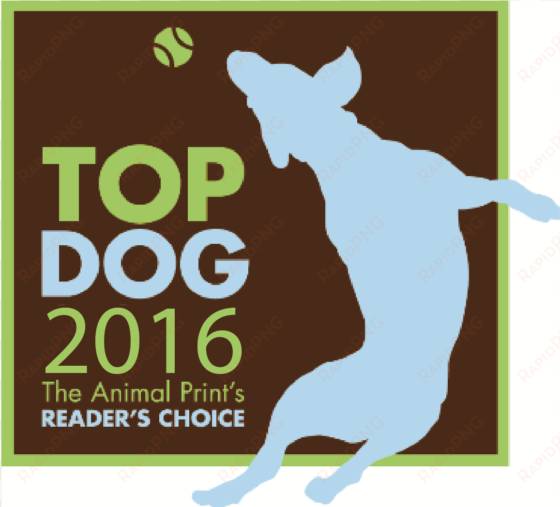 2016 top dog winners ri animal medical center and four - dog