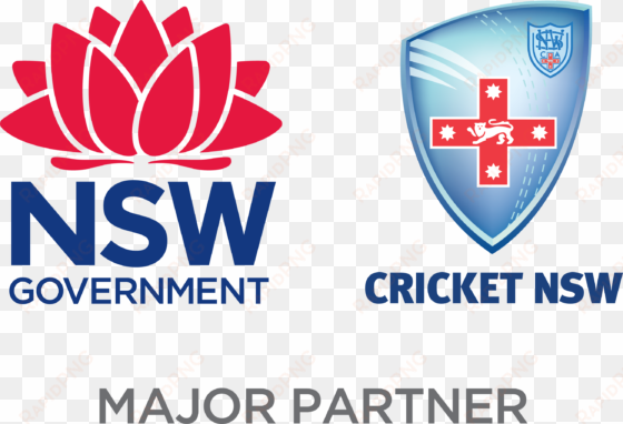 2018 cricket new south wales - emblem