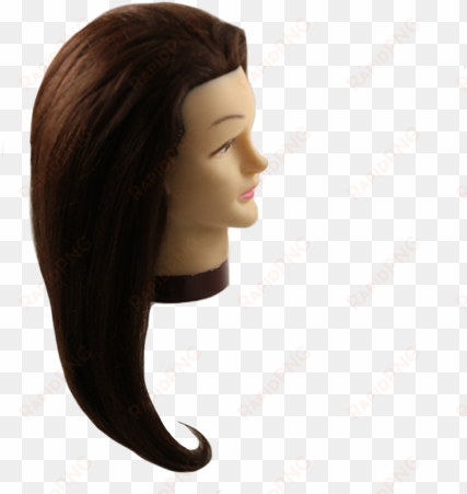 24" brunette mannequin head - head