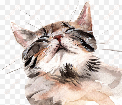 24 images about gatos on we heart it - watercolours of cats