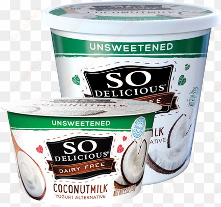 24 oz yogurt alternative - so delicious yogurt unsweetened