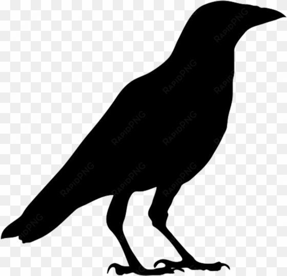 28 collection of halloween crow clipart - outline picture of crow