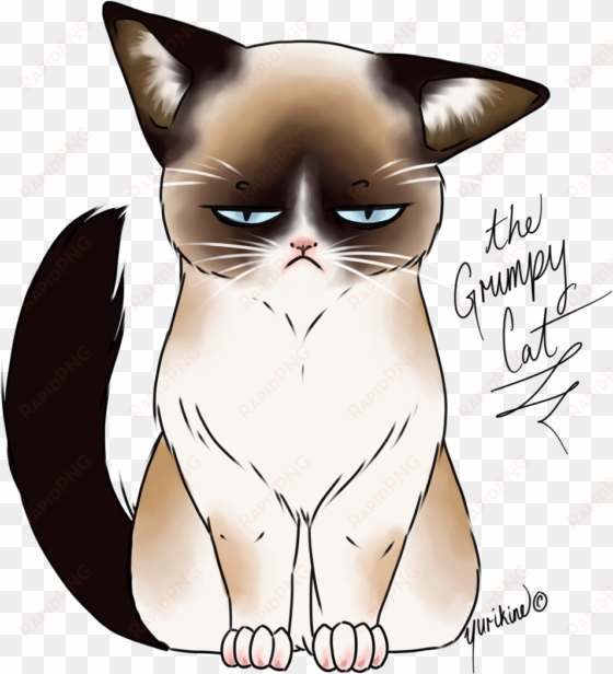 28 collection of kawaii grumpy cat drawing - png transparent grumpy cat drawing