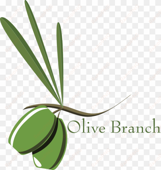 28 collection of olive branch petition clipart - olive branch petition drawing