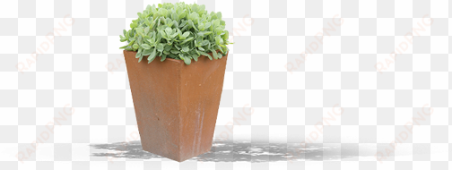 29 pm 281247 l13362569 t 8/20/2017 - flowerpot