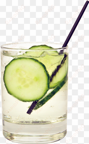 2cv ingredients 30ml vodka sliced cucumber ch'i original - vodka and tonic