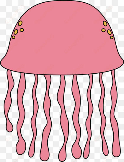 3 clipart jellyfish clipart transparent stock - jellyfish clipart