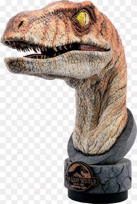 30" jurassic park life-size bust male raptor - jurassic park raptor model