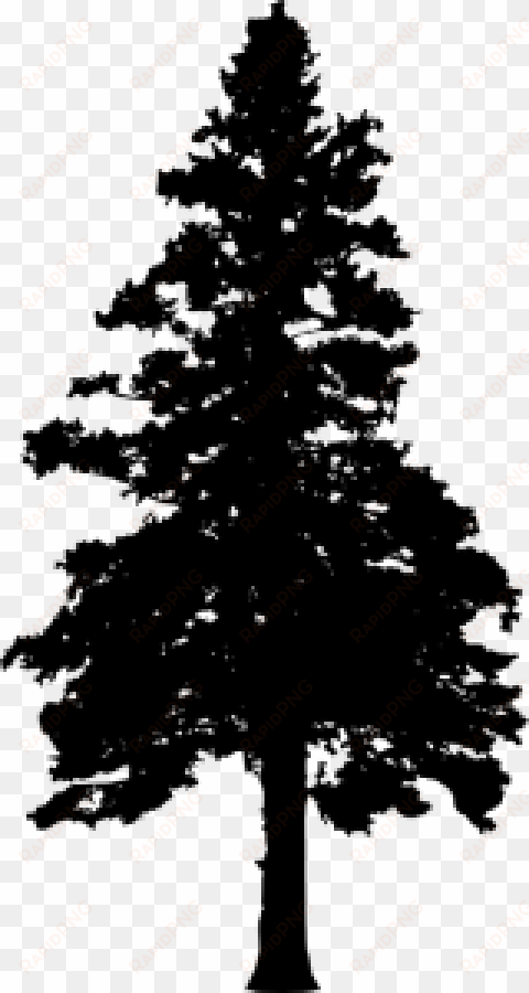 30 pine tree silhouette vol - pine trees transparent background