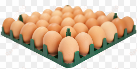 36 egg tray - eggs in a tray png