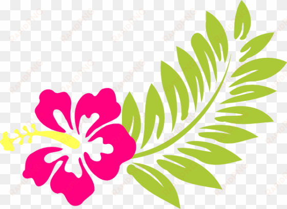 37 watercolor hibiscus flowers, coral vines, butterflies, - pink hibiscus clip art