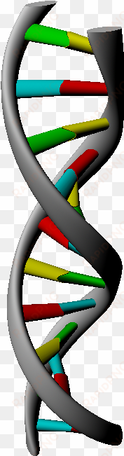 3d Dna Strand Rendering In Maya - Rendering transparent png image