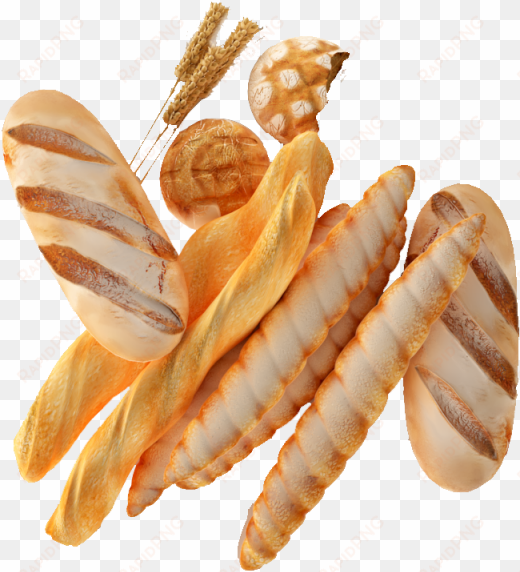 3d realistic food - bread top view png