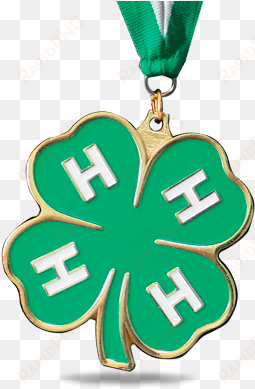 4 h series - shamrock