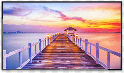 42 inch nec e425 led backlit display - nec e series e425 - 42" led display - 1080p