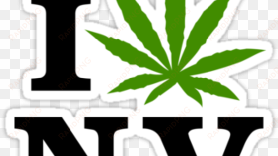 5 Things You Need To Know About Weed In Vegas - Washington Weed transparent png image