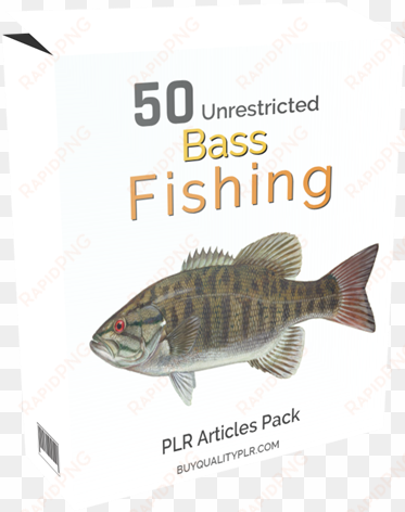 50 unrestricted bass fishing plr articles pack - giclee painting: smallmouth bass, 61x41in.