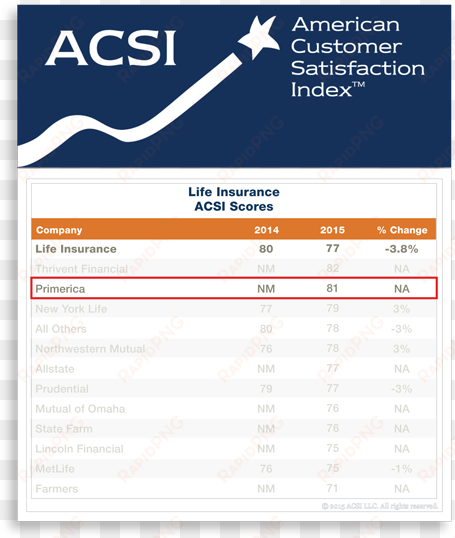 51042 acsi blue bag2 - american customer satisfaction index