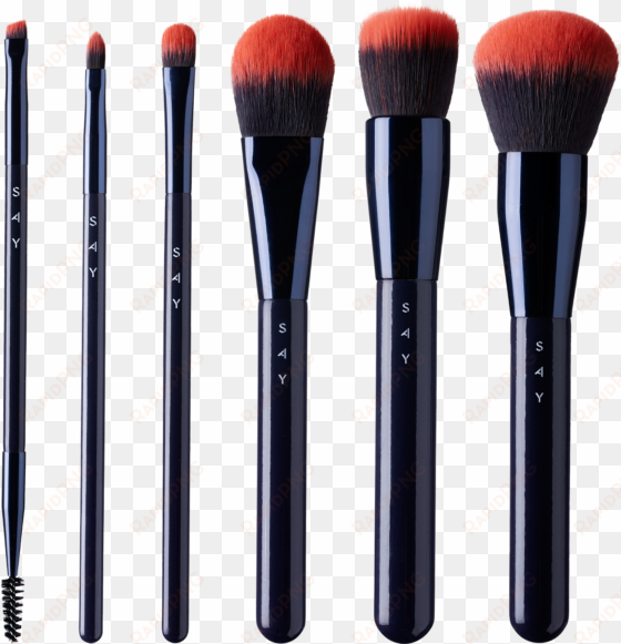 - 6 basic makeup brushes