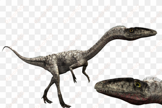 6734863 orig - walking with dinosaurs eoraptor