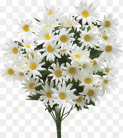 68 images about 💐tumblr flower png💐 on we heart it - sympathy funeral flowers