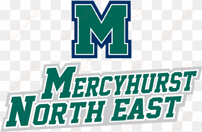 7 saints score in 8-1 win vs - mercyhurst northeast athletics