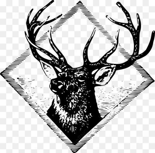 7624 cartoon deer head clip art public domain vectors - logo kepala rusa
