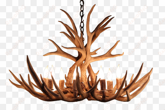 8 light mule deer antler chandelier - alexandrine mule deer 8-light candle-style chandelier