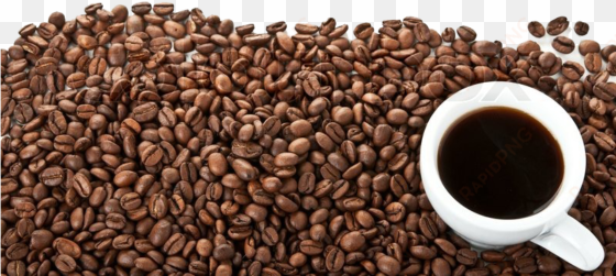 800 × - coffee beans white background png